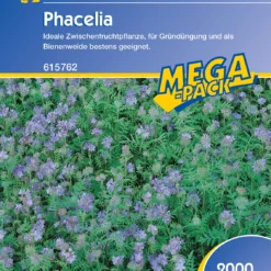 Phacelia (2 Kg) | Phaceliasamen Von Kiepenkerl