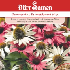 Sonnenhut Primadonna Mix | Sonnenhutsamen Von Dürr Samen 5 Sonnenhut Primadonna Mix | Sonnenhutsamen Von Dürr Samen -Günstiges Blattiva Geschäft 523342 Sonnenhut Primadonna Mix 4207 ds 0