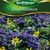 Duftblumen Schokolade Mit Sahne | Blumensamenmischung Von Quedlinburger -Günstiges Blattiva Geschäft 532106 Duftblumen Schokolade mit Sahn von Quedlinb