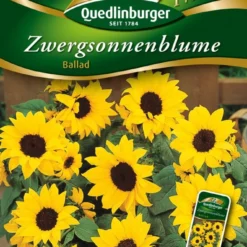 Zwergsonnenblumen Ballad | Sonnenblumensamen Von Quedlinburger