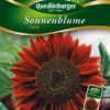 Sonnenblumen Claret | Sonnenblumensamen Von Quedlinburger