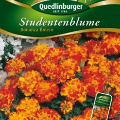 Studentenblumen Bonanza Bolero | Studentenblumensamen Von Quedlinburger