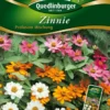 Zinnie Profusion Mix | Zinniensamen Von Quedlinburger -Günstiges Blattiva Geschäft 532211 Zinnien Profusion Mix von Quedlinburger Saa