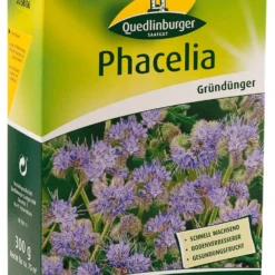 Phacelia 300 G | Phaceliasamen Von Quedlinburger