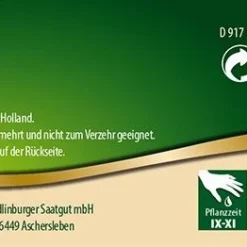 Tulpe Mascara (7 Stück) | Tulpenzwiebeln Von Quedlinburger