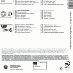 Triumph-Tulpe Rems Sensation (7 Stück) | Tulpenzwiebeln Von Kiepenkerl