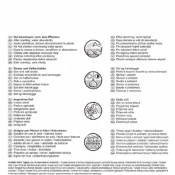 Tulpe Double Mischung (20 Stück) | Tulpenmischung Von Pegasus