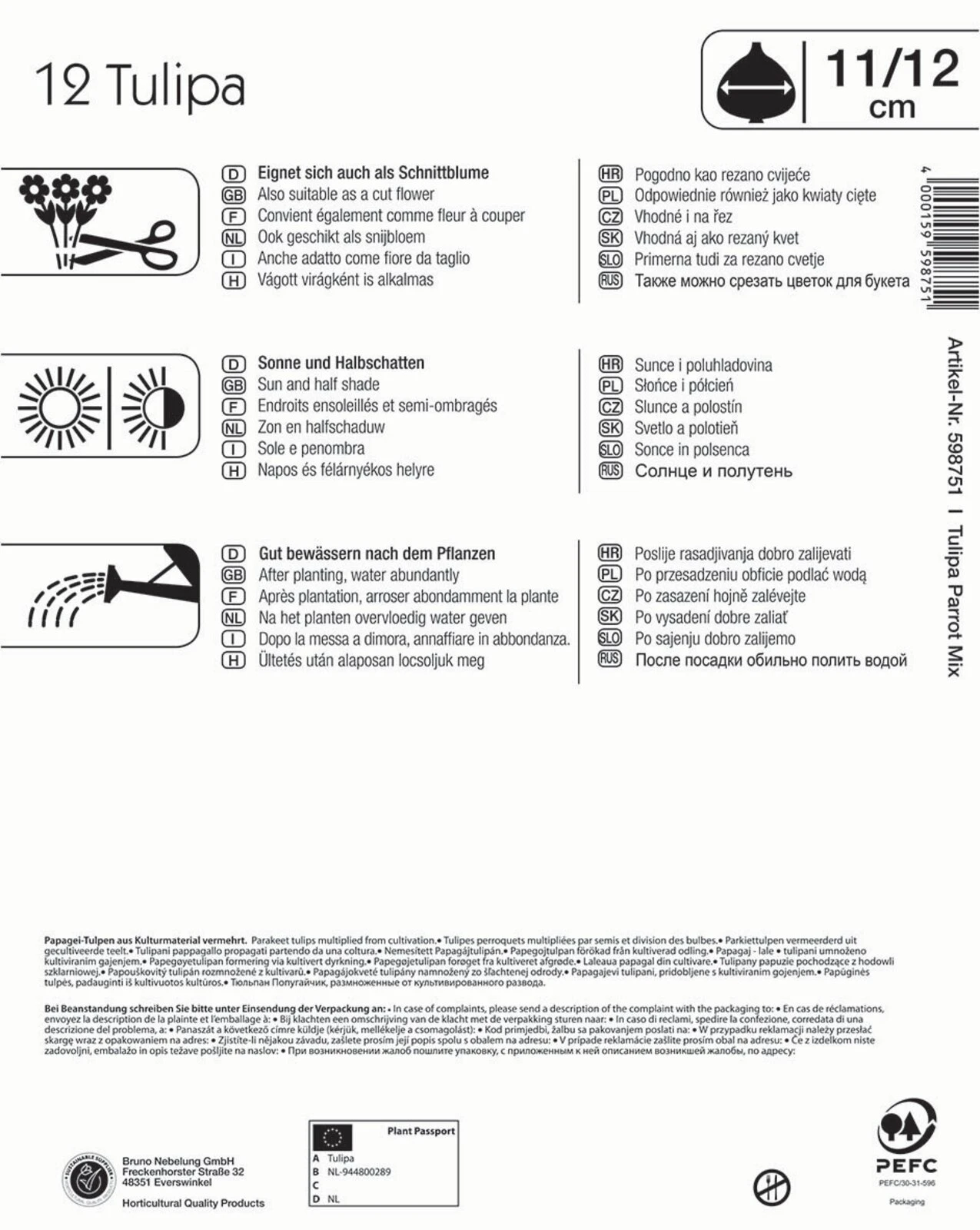 Mega-Pack Papagei Tulpe Papageien Mischung (12 Stück) | Tulpenzwiebeln Von Kiepenkerl 4 Mega-Pack Papagei Tulpe Papageien Mischung (12 Stück) | Tulpenzwiebeln Von Kiepenkerl - Image 2