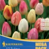 Mega-Pack Triumph-Tulpe Pastell Farbenspiel (17 Stück) | Tulpenzwiebeln Von Kiepenkerl 2 Mega-Pack Triumph-Tulpe Pastell Farbenspiel (17 Stück) | Tulpenzwiebeln Von Kiepenkerl -Günstiges Blattiva Geschäft 533595 Mega Pack Triumph Tulpe Pastell Farbenspiel 17 Stueck 508514 0