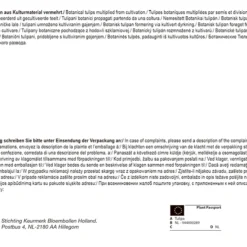 Tulpe Botanic Mix (30 Stück) | Tulpenzwiebeln Von Pegasus