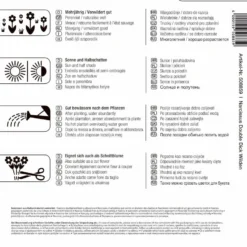 Mega-Pack Narzisse Dick Wilden (17 Stück) | Narzissenzwiebeln Von Kiepenkerl