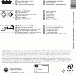 Gefüllte Späte Tulpe Ice Cream (3 Stück) | Tulpenzwiebeln Von Kiepenkerl