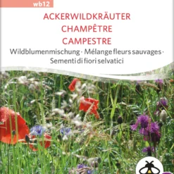 Wildblumenmischung Ackerwildkräuter | BIO Wildblumensamen Von Sativa Rheinau