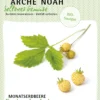 Monatserdbeere Fraise Des Bois | BIO Erdbeerensamen Von Arche Noah 1 Monatserdbeere Fraise Des Bois | BIO Erdbeerensamen Von Arche Noah -Günstiges Blattiva Geschäft 536976 Monatserdbeere Fraise des Bois