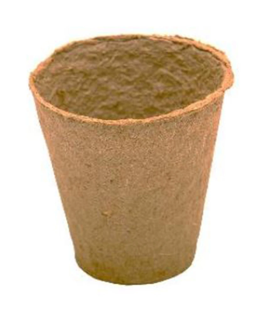 6 X 6 Cm Anzuchttopf Rund (3000 Stück) | Anzuchttöpfe Von Fertil 4 6 X 6 Cm Anzuchttopf Rund (3000 Stück) | Anzuchttöpfe Von Fertil - Image 2