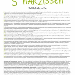 Narzisse British Gamble (5 Stück) | Narzissenzwiebeln Von Sperli