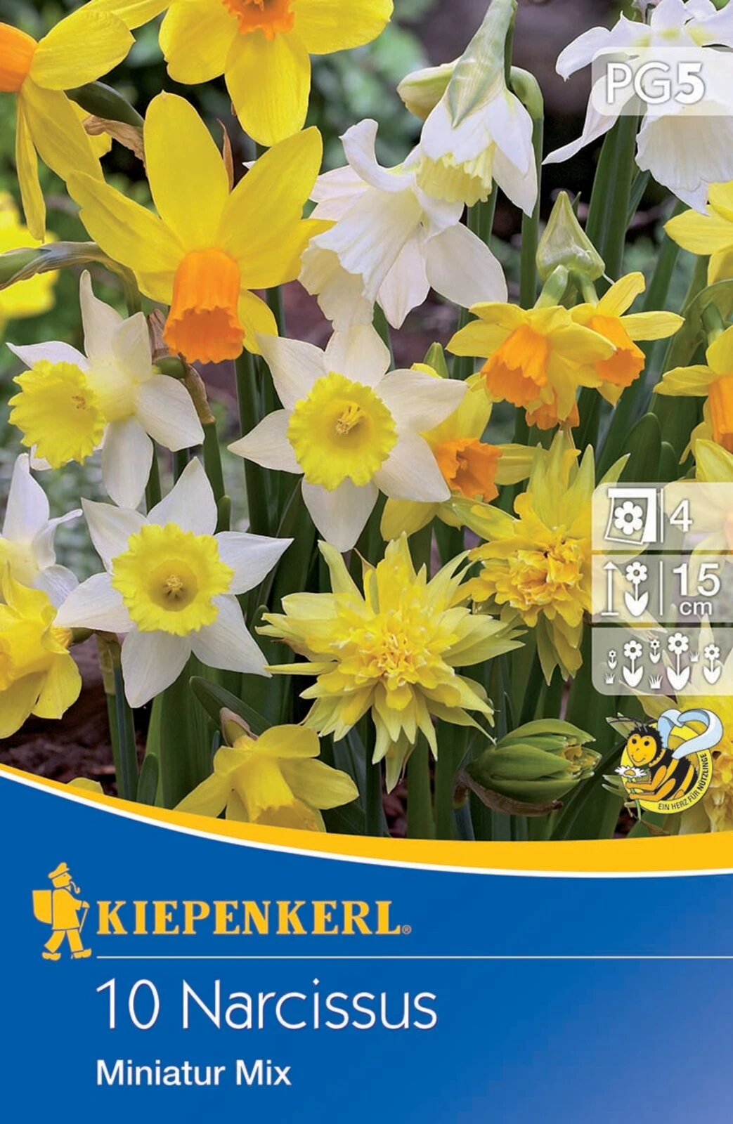 Narzisse Miniatur-Mischung (10 Stück) | Narzissenzwiebeln Von Kiepenkerl 4 Narzisse Miniatur-Mischung (10 Stück) | Narzissenzwiebeln Von Kiepenkerl - Image 2