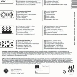 Narzisse Miniatur-Mischung (10 Stück) | Narzissenzwiebeln Von Kiepenkerl