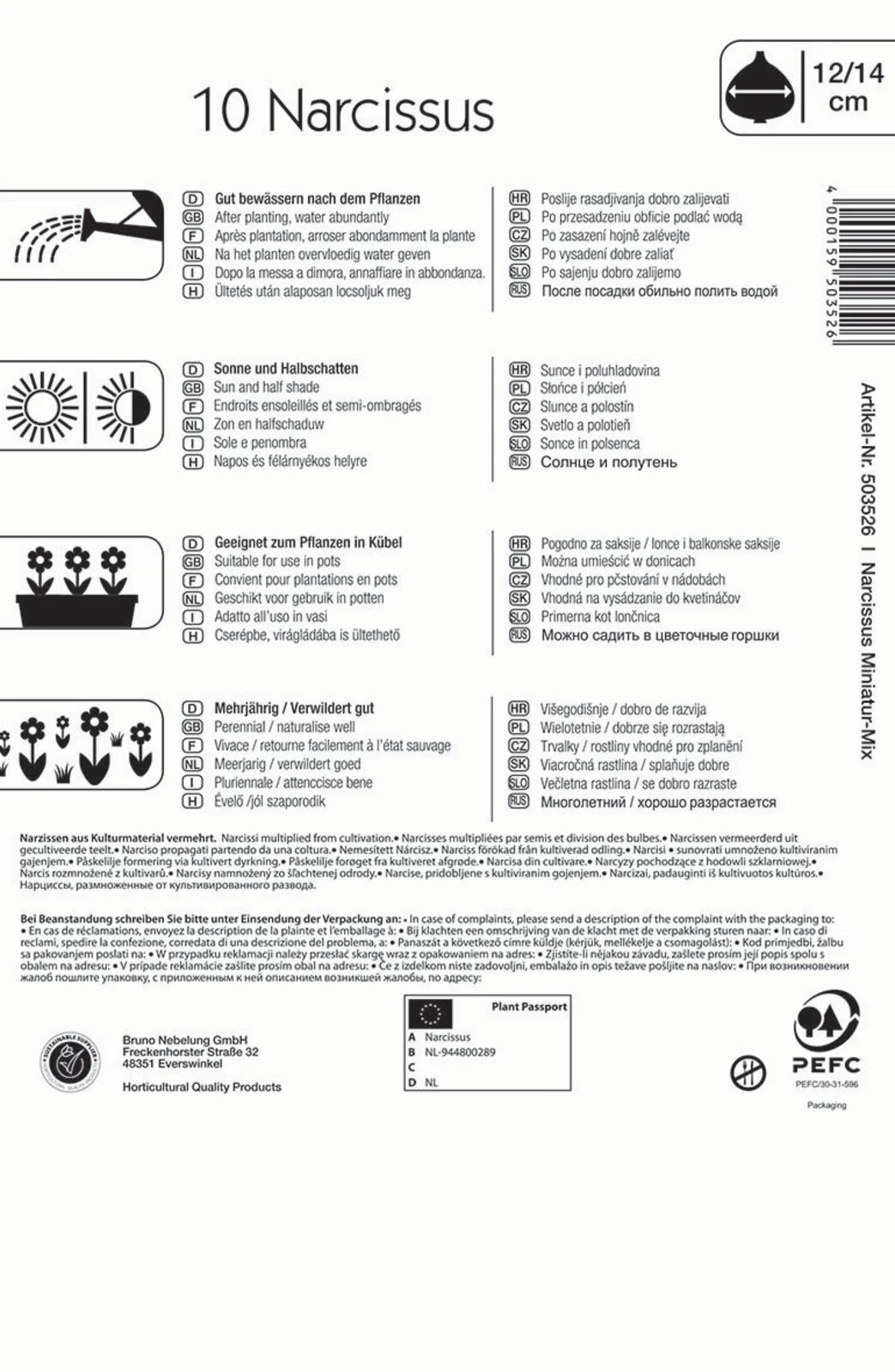 Narzisse Miniatur-Mischung (10 Stück) | Narzissenzwiebeln Von Kiepenkerl 3 Narzisse Miniatur-Mischung (10 Stück) | Narzissenzwiebeln Von Kiepenkerl