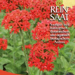 Brennende Liebe | BIO Nelkensamen Von Reinsaat