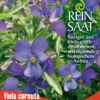 Hornveilchen | BIO Hornveilchensamen Von Reinsaat -Günstiges Blattiva Geschäft 540550 BIO Hornveilchen B75 rs 0