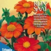 Mexikanische Sonnenblume | BIO Sonnenblumensamen Von Reinsaat