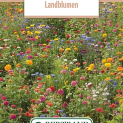 Blumenwiese Feldblumenmischung (100 G) | Blumensamen Von Bertrand