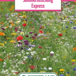 Blumenwiese Sommermischung Express (100 G) | Blumensamen Von Bertrand