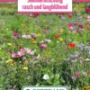 Blumenwiese Langanhaltende Sommermischung (100 G) | Blumensamen Von Bertrand -Günstiges Blattiva Geschäft 540957 Blumenwiese Sommermischung Rasch und Langbluehend 100 g