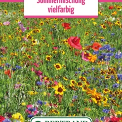 Blumenwiese Sommermischung Vielfarbig (100 G) | Blumensamen Von Bertrand