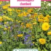 Blumenwiese Blumenteppich Chambord (100 G) | Blumensamen Von Bertrand -Günstiges Blattiva Geschäft 540970 Blumenwiese Blumenteppich Chambord 100 g