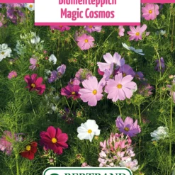 Blumenwiese Blumenteppich Magic Cosmos (100 G) | Blumensamen Von Bertrand