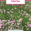 Blumenwiese Farbton Rosa (100 G) | Blumensamen Von Bertrand -Günstiges Blattiva Geschäft 540985 Blumenwiese Farbton Rosa 100 g