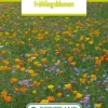 Blumenwiese Frühlingsblumen (100 G) | Blumensamen Von Bertrand -Günstiges Blattiva Geschäft 540988 Blumenwiese Fruehlingsblumen 100 g