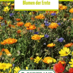 Blumenwiese Ackerwildkräutern (100 G) | Blumensamen Von Bertrand