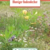 Blumenwiese Blumiger Bodendecker Für Gründächer (100 G) | Blumensamen Von Bertrand -Günstiges Blattiva Geschäft 541006 Blumenwiese Blumiger Bodendecker 100 g