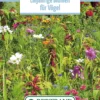 Blumenwiese Einjährige Blumen Für Vögel (100 G) | Blumensamen Von Bertrand