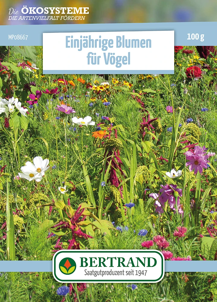 Blumenwiese Einjährige Blumen Für Vögel (100 G) | Blumensamen Von Bertrand 3 Blumenwiese Einjährige Blumen Für Vögel (100 G) | Blumensamen Von Bertrand