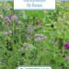 Blumenwiese Honigblumenwiese OFA Einjährig (100 G) | Blumensamen Von Bertrand -Günstiges Blattiva Geschäft 541014 Blumenwiese Trachtblumen fuer Bienen OFA einjaehrig 100 g