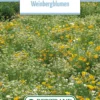 Blumenwiese Blumen Der Weinberge (100 G) | Blumensamen Von Bertrand