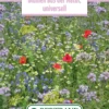 Blumenwiese Landblumenmischung (100 G) | Blumensamen Von Bertrand -Günstiges Blattiva Geschäft 541020 Blumenwiese Blumen aus der Natur universell 100 g