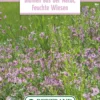 Blumenwiese Staudenmischung Für Feuchtgebiete (100 G) | Blumensamen Von Bertrand -Günstiges Blattiva Geschäft 541024 Blumenwiese Blumen aus der Natur Feuchte Wiesen 100 g