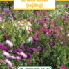 Blumenwiese Duftende Blumen (einjährig) (100 G) | Blumensamen Von Bertrand -Günstiges Blattiva Geschäft 541033 Blumenwiese Duftende Blumen einjaehrig 100 g