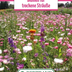 Blumenwiese Blumen Für Trockensträuße (100 G) | Blumensamen Von Bertrand