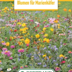 Blumenwiese Blumen Für Marienkäfer (100 G) | Blumensamen Von Bertrand