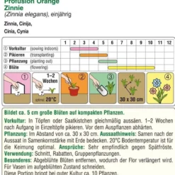 Zinnien Profusion Orange | Zinniensamen Von Austrosaat