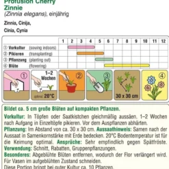 Zinnien Profusion Cherry | Zinniensamen Von Austrosaat