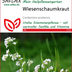 Wiesenschaumkraut | Wildblumensamen Von Saflax