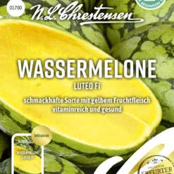 Wassermelone Luteo F1 | Wassermelonensamen Von N.L. Chrestensen