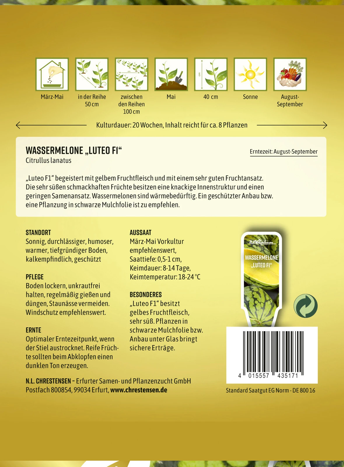 Wassermelone Luteo F1 | Wassermelonensamen Von N.L. Chrestensen 4 Wassermelone Luteo F1 | Wassermelonensamen Von N.L. Chrestensen - Image 2